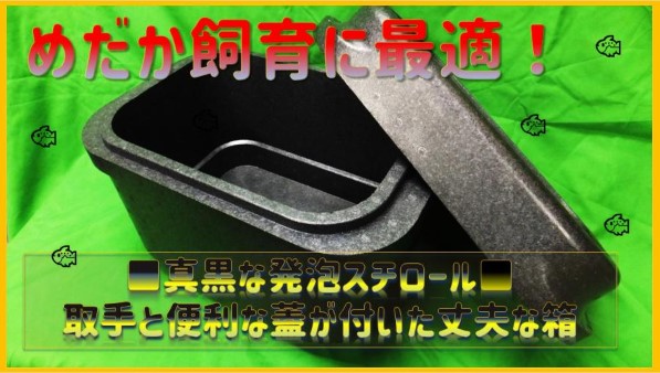 【新商品】保冷性・保温性抜群！取手と蓋が付いた厚み約5cmの丈夫な構造「メダカ飼育箱」発売開始